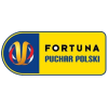 Polish Cup